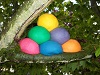 Natural Play Dough - Jumbo Set